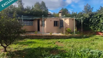 Rustic Finca in Montserrat photo 47