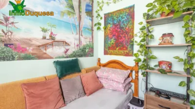 Apartment in Almanjayar photo 26
