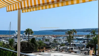 Apartment in Portals Nous photo 28