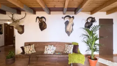 Rustic finca at Calle Hoya Canales, No. 52 photo 26