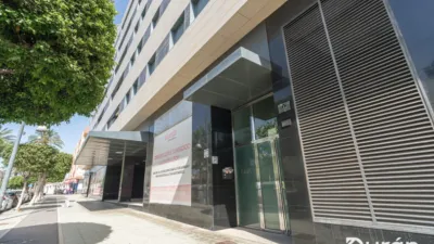 Apartment in Ejido Sur photo 47
