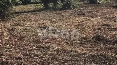 Terreno en venta en Estrada de Castela, 700 - Más