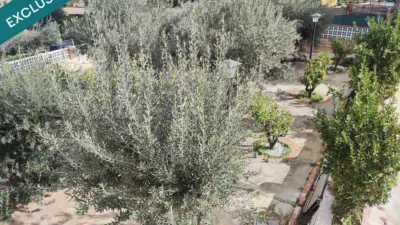 Rustic Finca in Montserrat photo 50