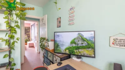 Apartment in Almanjayar photo 27