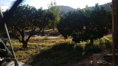 Rustic farm in Mazarrón photo 14