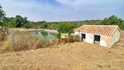 Finca rústica en Totana photo 18