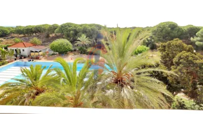 Apartment in Urbanización Lomas del Polo, 1 photo 9
