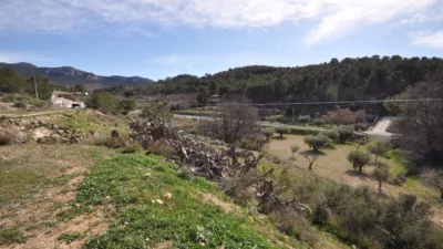 Rustic Finca in Jumilla photo 17