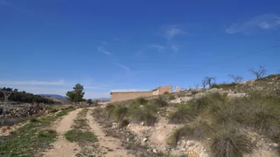Rustic Finca in Jumilla photo 14