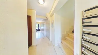 Apartment in Zofío photo 25