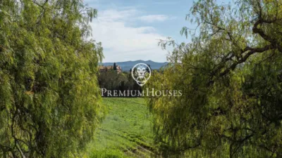 Rustic Finca in Nord photo 39