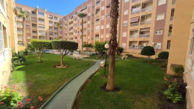 Pis – Torrevieja - Vista 2
