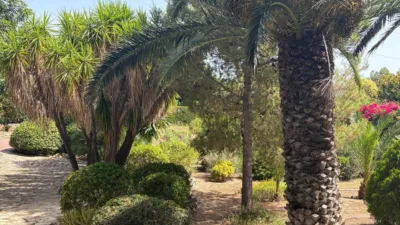 Chalet in Zona El Vedat-Santa Apolonia photo 9