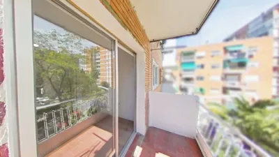 Apartment in Zofío photo 3