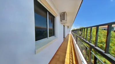 Apartment in Parque Alcosa-Jardines del Edén photo 3