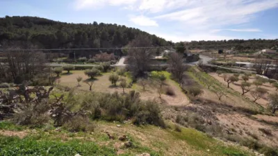 Rustic Finca in Jumilla photo 16