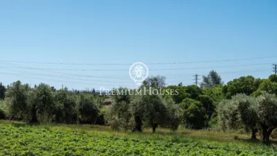 Rustic Finca in Nord photo 10