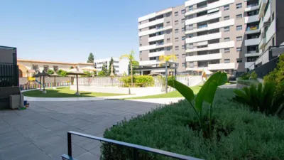 Apartment on Avenida de Las Ciencias photo 33