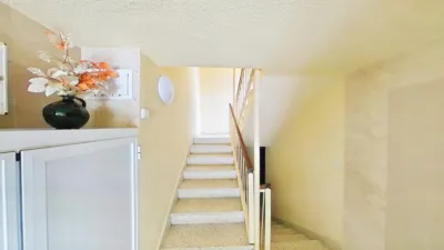 Apartment in El Cerro photo 29