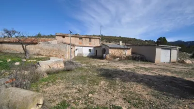 Rustic Finca in Jumilla photo 2
