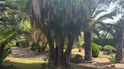 Chalet in Zona El Vedat-Santa Apolonia photo 36