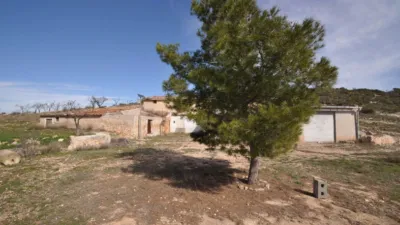 Rustic Finca in Jumilla photo 18