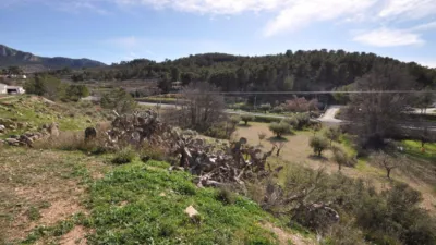 Rustic Finca in Jumilla photo 15