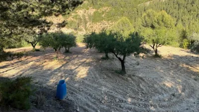 Rustic Finca in Buñol photo 41