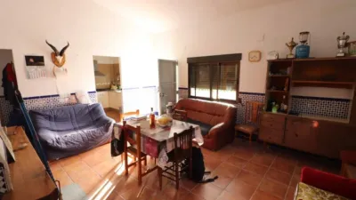 Rustic Finca in Buñol photo 13