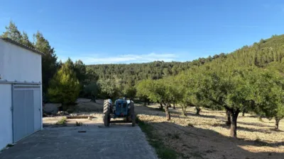 Rustic Finca in Buñol photo 9