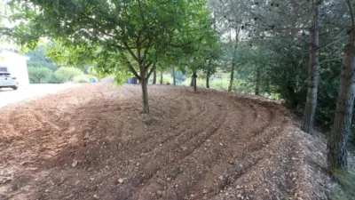 Rustic Finca in Buñol photo 44