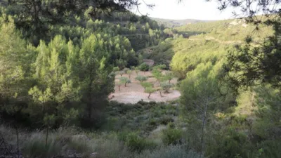 Rustic Finca in Buñol photo 43
