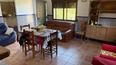 Rustic Finca in Buñol photo 12