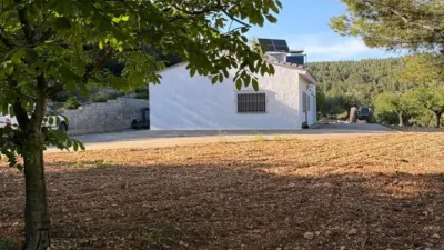 Rustic Finca in Buñol photo 42
