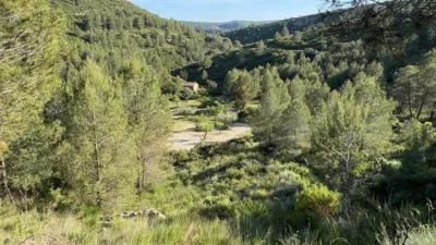 Rustic Finca in Buñol photo 38