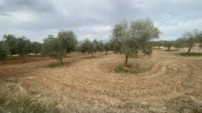 Finca rústica en Padul photo 19