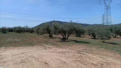 Rustic finca in Albolote photo 14