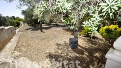 Chalet in Comunidad Valenciana photo 32