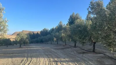 Rustic Farm in La Malahá photo 12