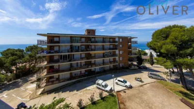 Apartment at Carrer de la Punta del Cavall, 29 photo 35