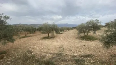 Finca rústica en Padul photo 18