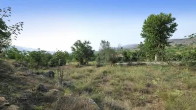 Finca rústica en Padul photo 17
