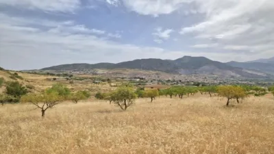 Rustic finca in Padul photo 8
