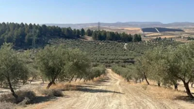 Rustic Farm in La Malahá photo 19