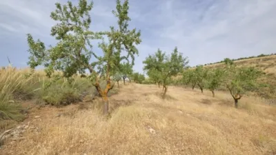 Rustic Finca in Padul photo 29