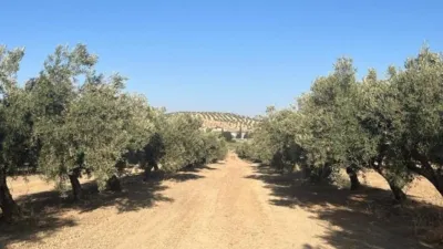 Rustic Farm in La Malahá photo 8