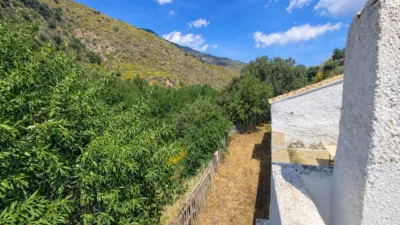Rustic finca in Andalucia photo 47