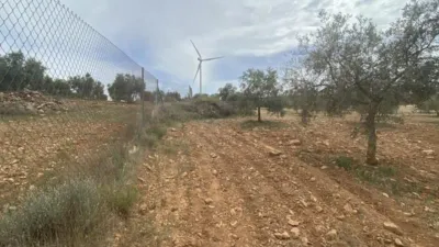 Rustic Finca in Padul photo 3