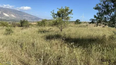 Rustic finca in Padul photo 22