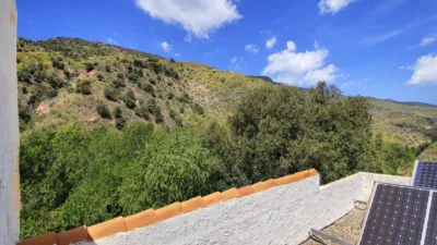 Rustic finca in Andalucia photo 44